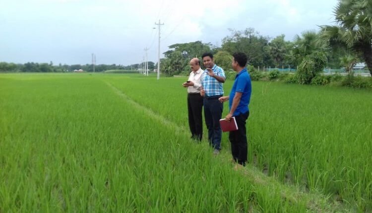 Field inspection