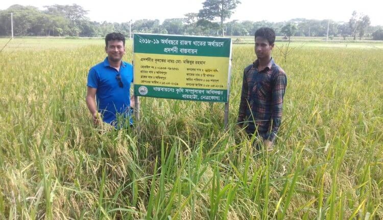 আউশ