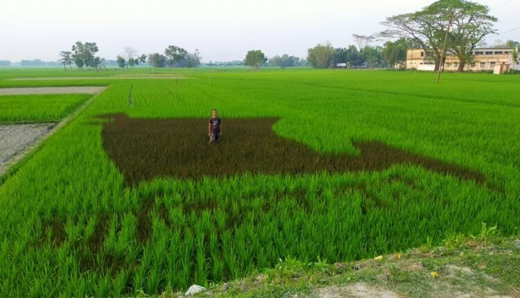 সবুজের বুকে লাল মানচিত্র