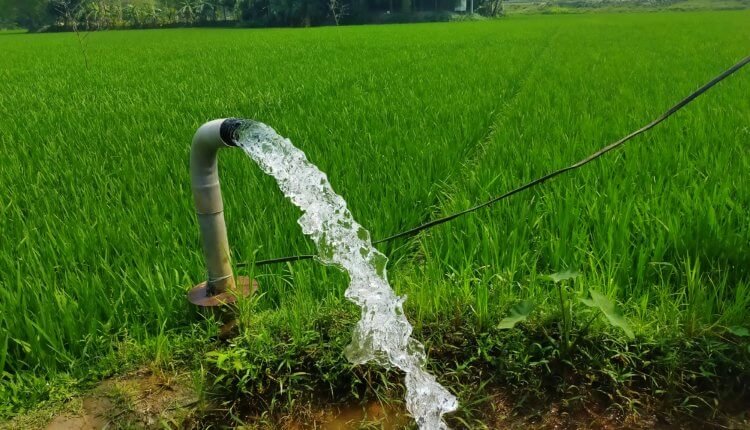 সেচ